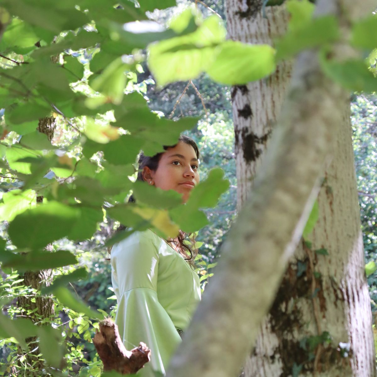 Lire la suite à propos de l’article Photos de fantasy : trouver l’inspiration dans la nature